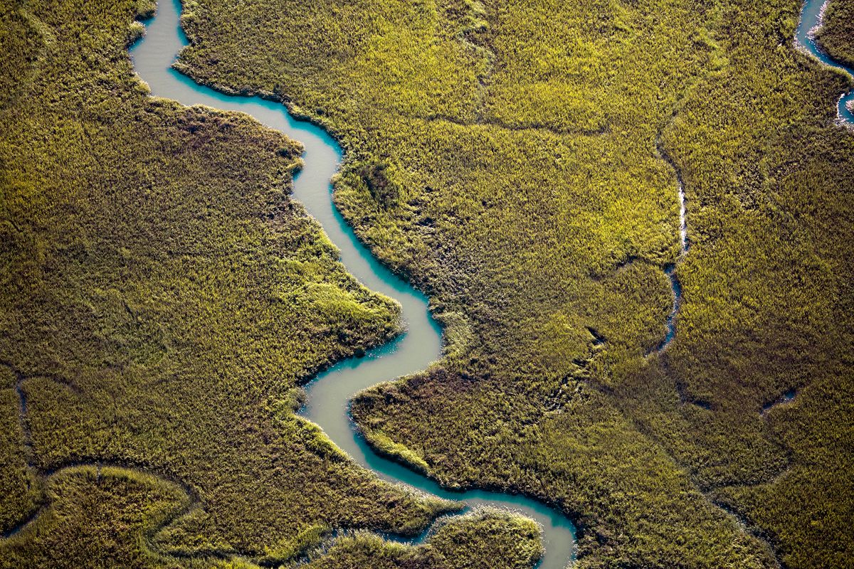 A small creek winds through restored wetlands in San Francisco’s South Bay.