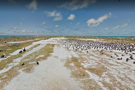 Street View of Tern Island