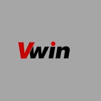 Profile image for vwinfund