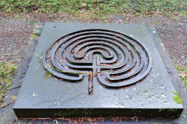 This plan maps out the larger paths of the caerdroia in Gwydyr Forest.
