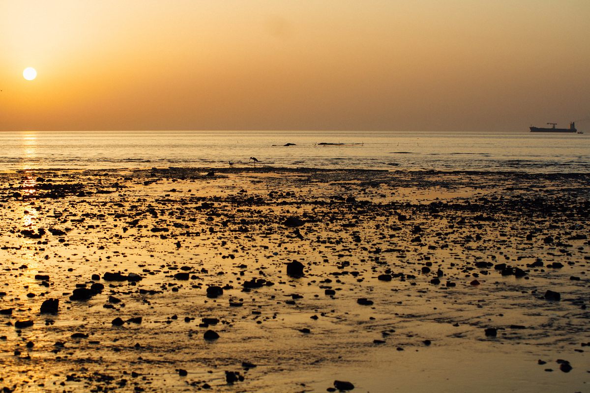 Alang Beach at sunrise.