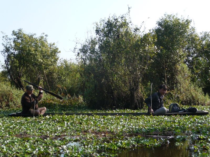 One of the locations in Myanmar that Thorns searched in 2014.