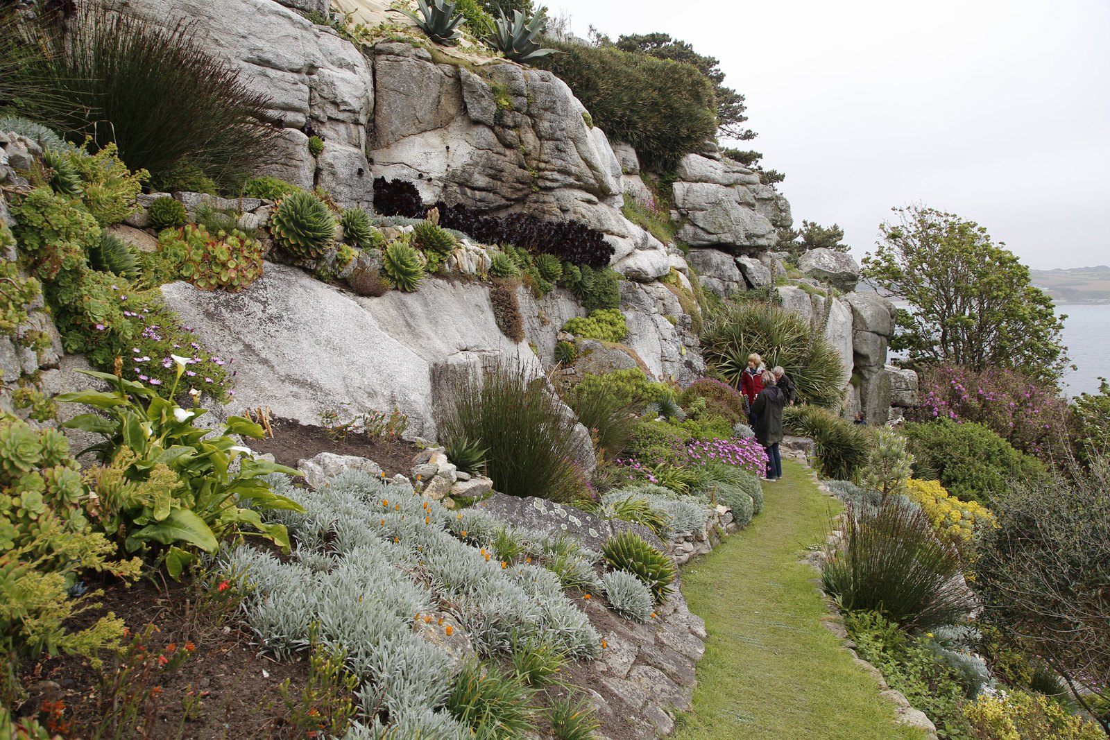 Unlikely succulents stud the castle's terraced gardens.