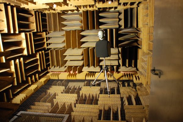 The anechoic chamber