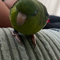 Profile image for mrswaggily