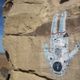 contactpetroglyphist profile photo