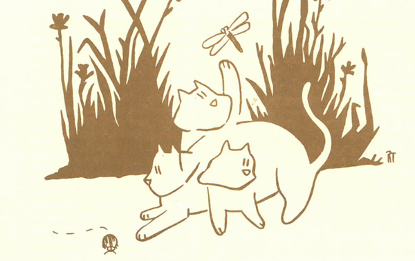 Meow! Purrfectly Coddington Catogram Club, Page 19