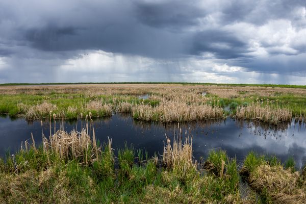 There could be a garden just beneath the waters.
