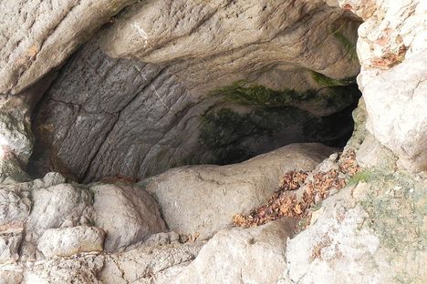 Looking own the blowhole.