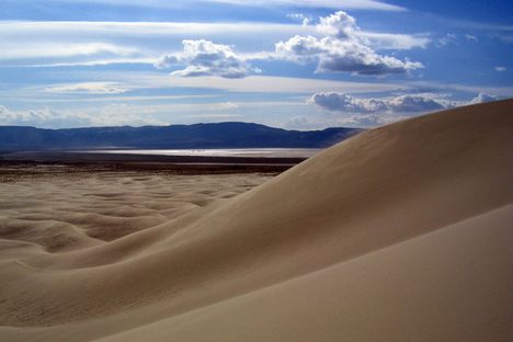 Sing with the Sands