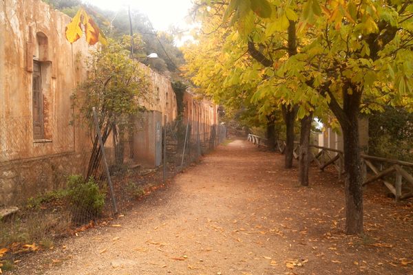 Previously people lived here and made their living in the forest