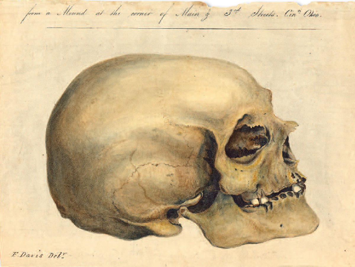 In his <em>Crania Americana</em>, Samuel Morton used skulls to underpin ideas about racial hierarchies.