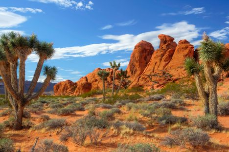 Gold Butte National Monument.