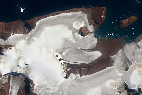 On Antarctica's Vega Island, a Grinning Skull Is the Face of Climate Change