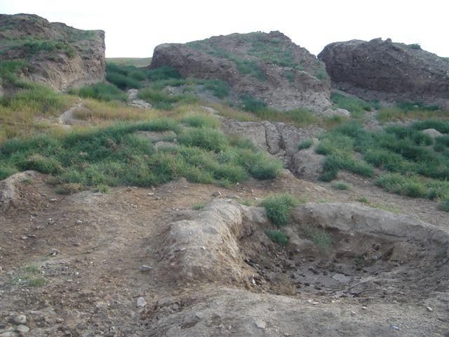 The spot where the skull was found, in Mongolia's Salkhit Valley.