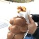 Chocolate egg waffle