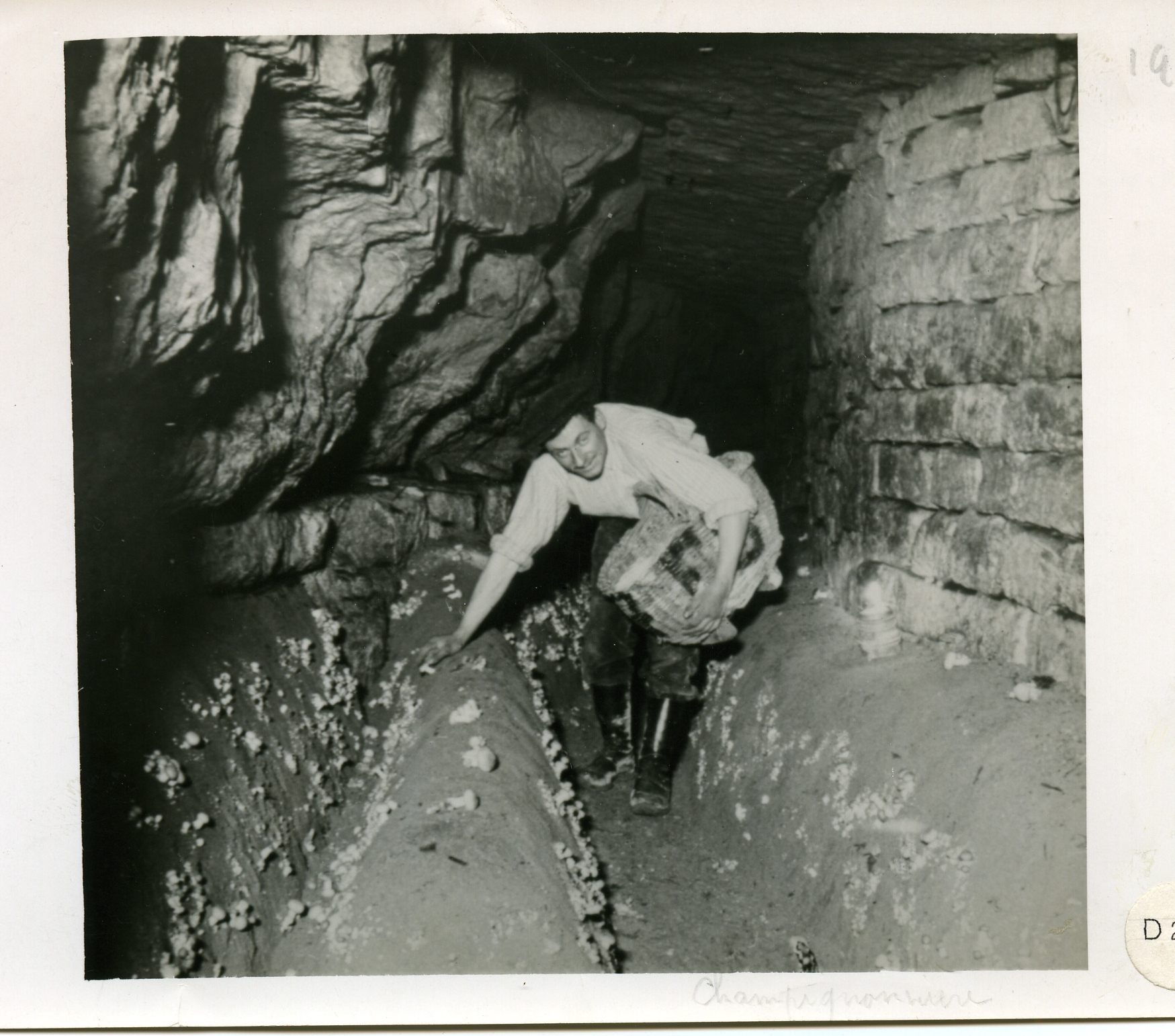 A cheery worker in a limestone quarry.