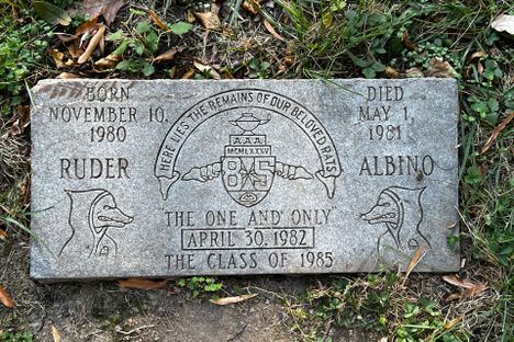 Rat Grave marker