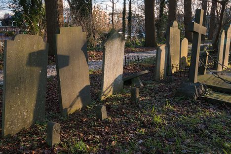The cemetery.
