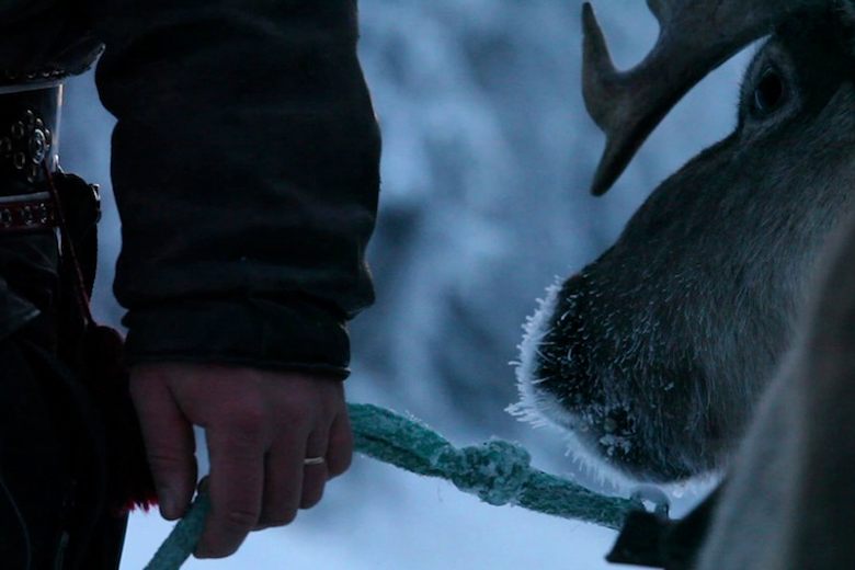 Living with the Arctic Cowboys of Finland's Reindeer Territory