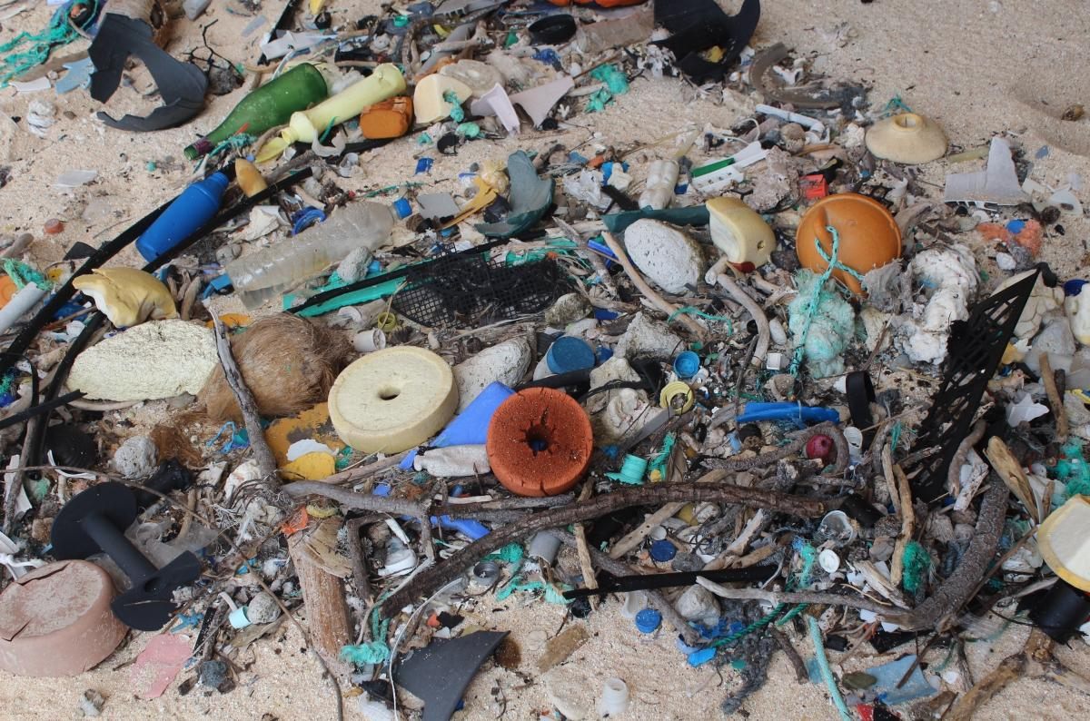 Plastic trash on Henderson Island.