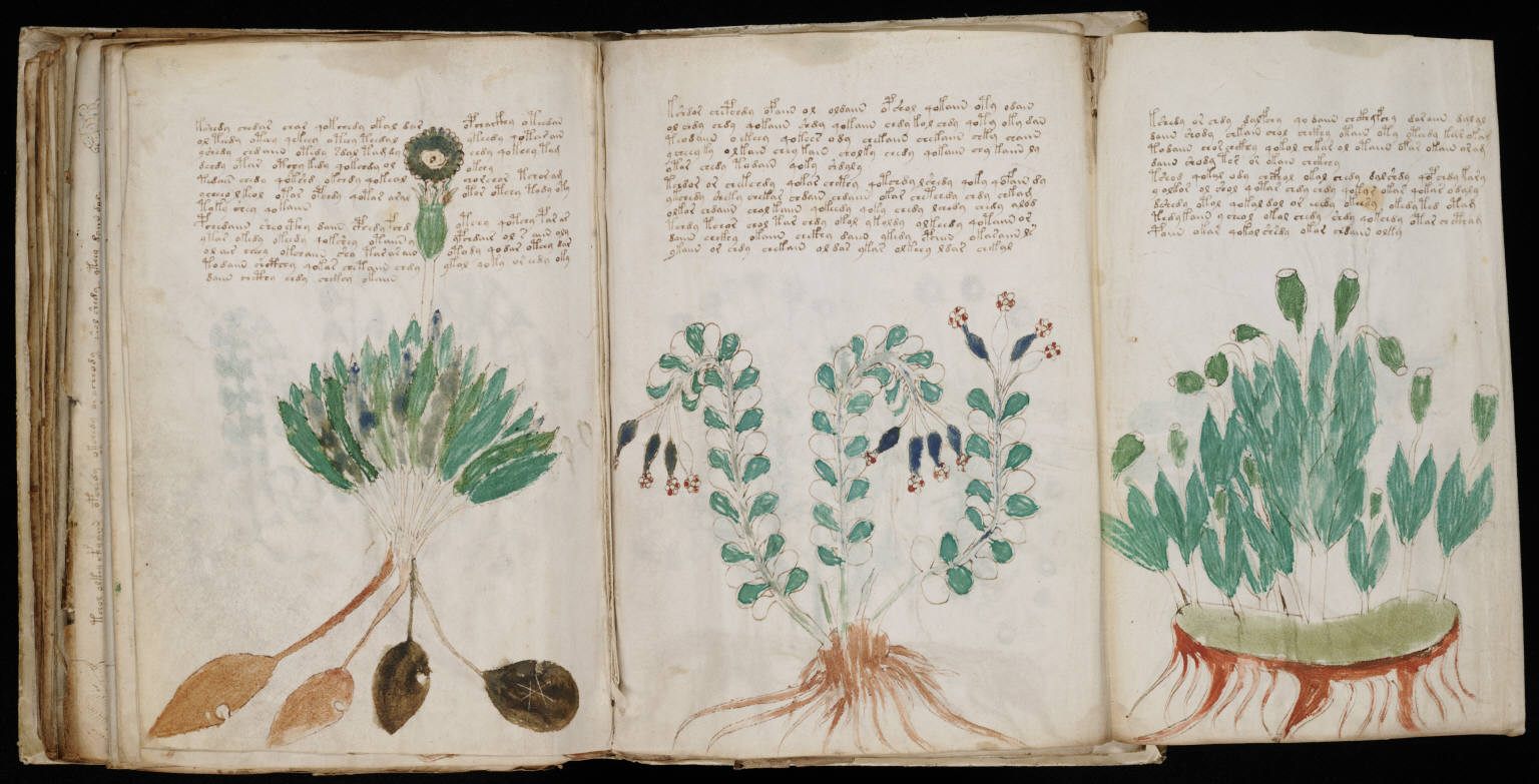 The manuscript is currently held at Yale University.