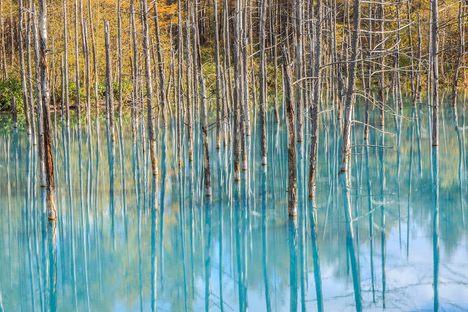 Blue Pond
