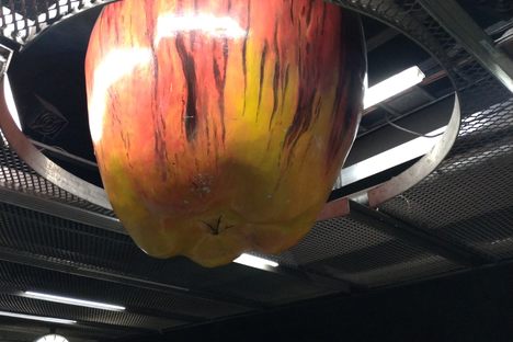 Newton's Apple 