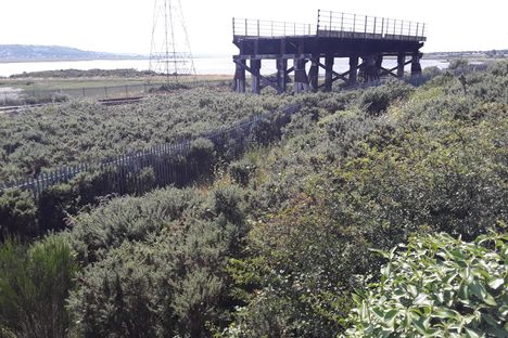 Preserved section of old viaduct.