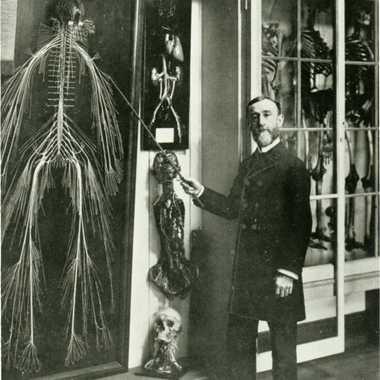 Dr. Rufus B. Weaver and the nervous system of Harriet Cole.
