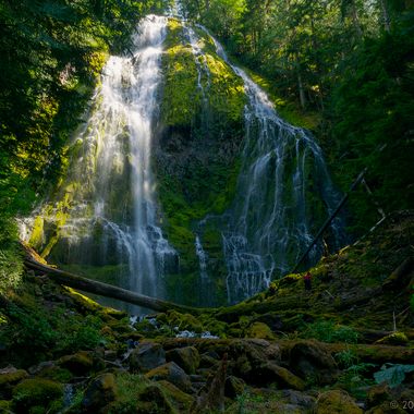 Proxy Falls (technically, Lower Proxy Falls)