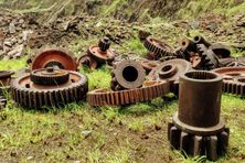 Rusted equipment gears surrounded by moss at the site. 