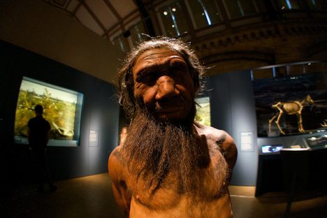 The Sexual History Between Neanderthals and Modern Humans