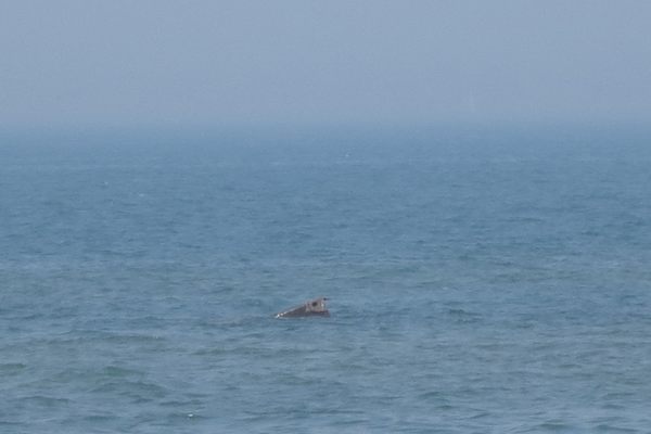 Shipwreck of the Silver Spray