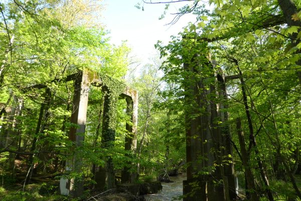 Porter Creek Bridge Ruins.