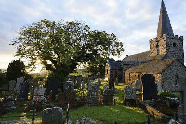 The Armada Tree, Northern Ireland. 