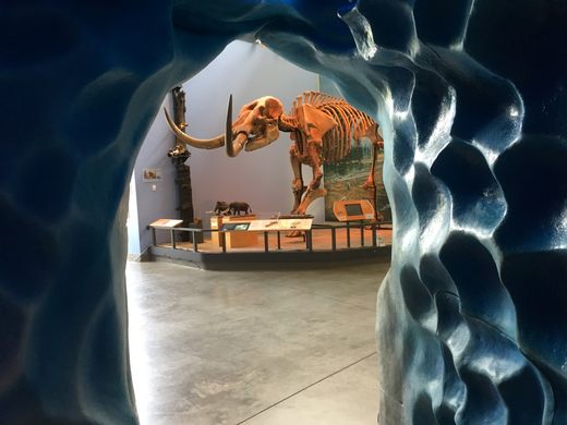 Titans of the Ice Age 3D - Putnam Museum