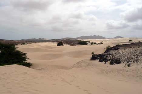 Unexpected Deserts