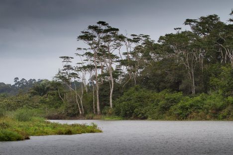 Loango National Park