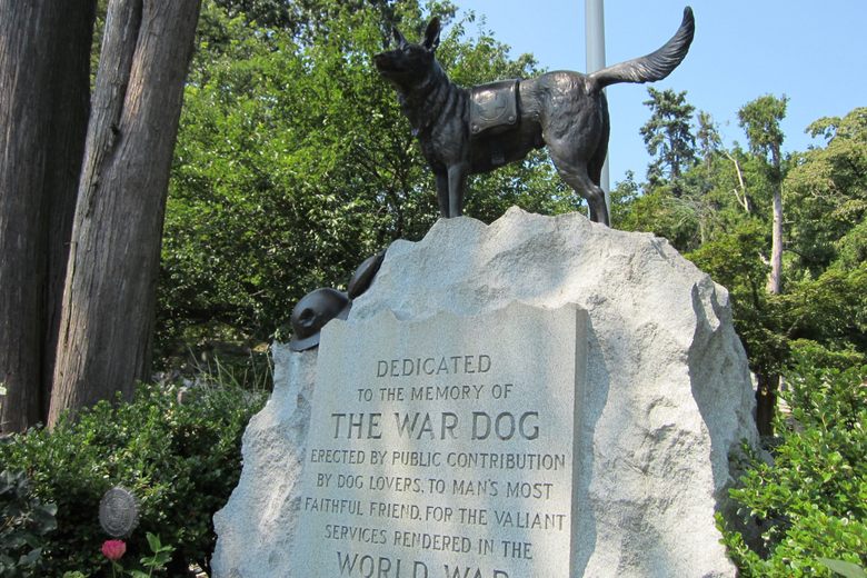Dog burials near me discount