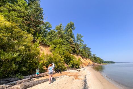 People walking along a beach.