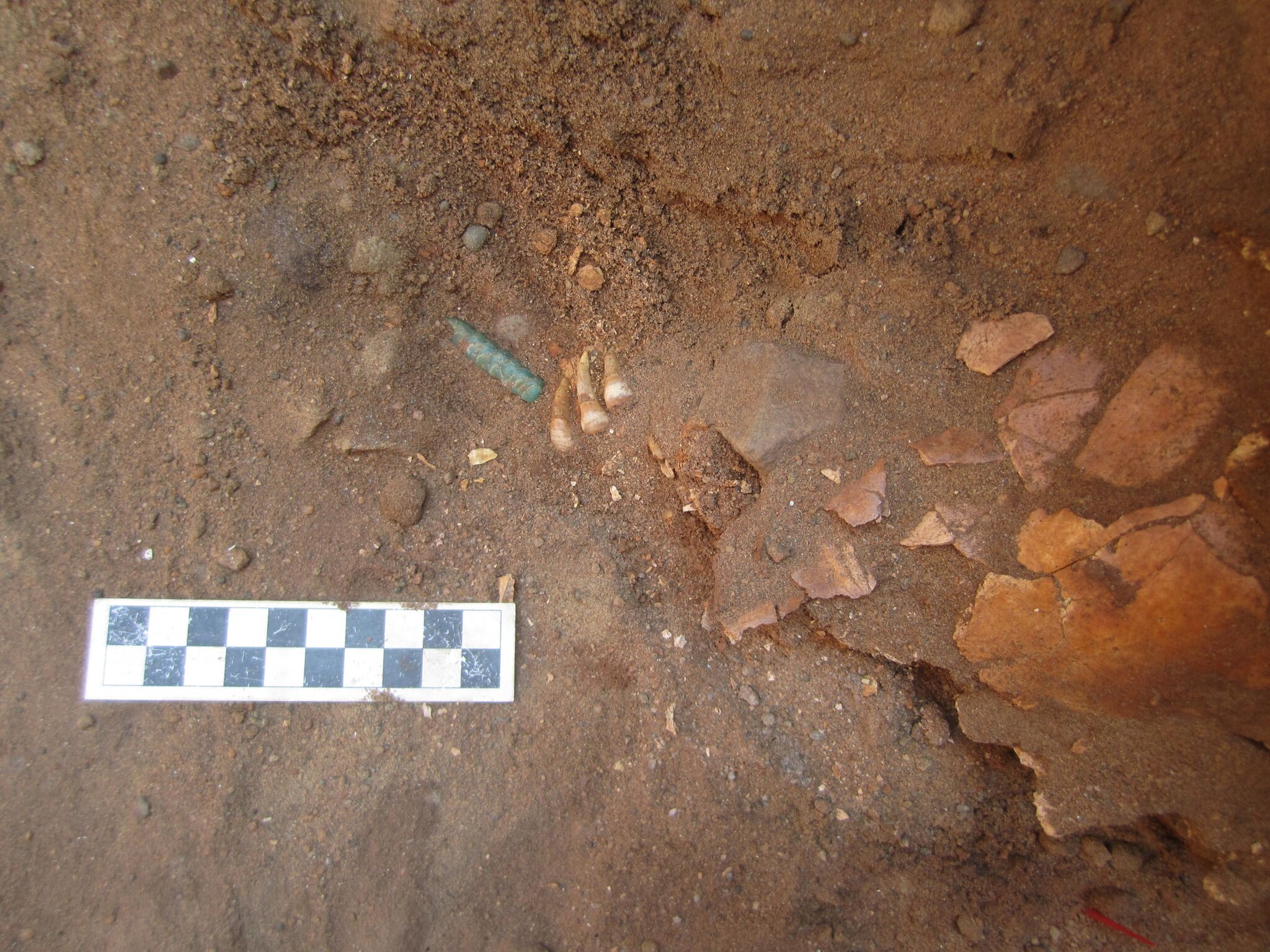 A bone fragment from a teenaged community member, near a shaped Amazonite pendant that was part of a necklace. 