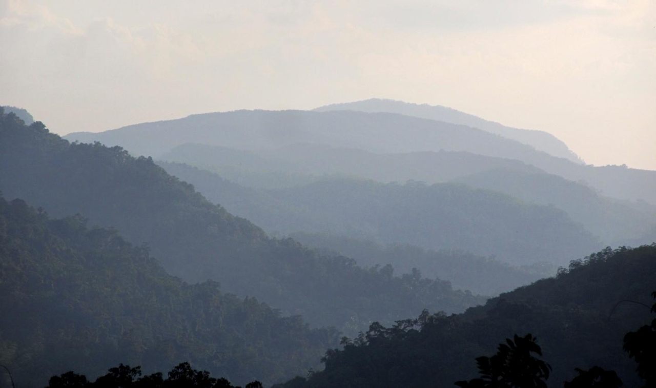The jungle highlands of Sri Lanka, where humans settled at least 45,000 years ago.