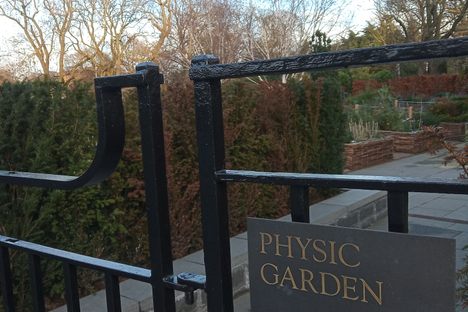 Physic Garden