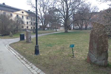The park.