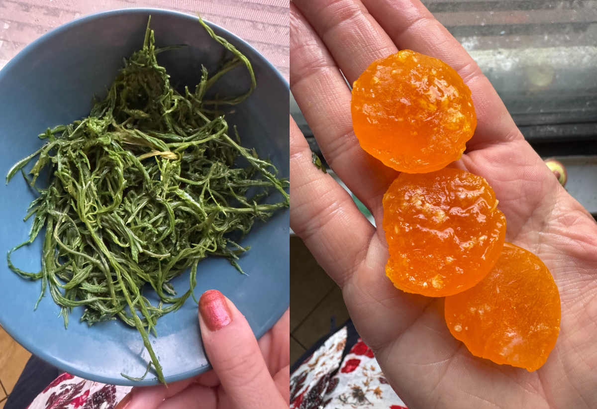 Other special ingredients I needed included the herb known as “climbing wattle,” or cha-om, which I found frozen, and salt-cured egg yolks (I made my own).
