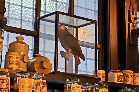 Polly at Ye Olde Cheshire Cheese