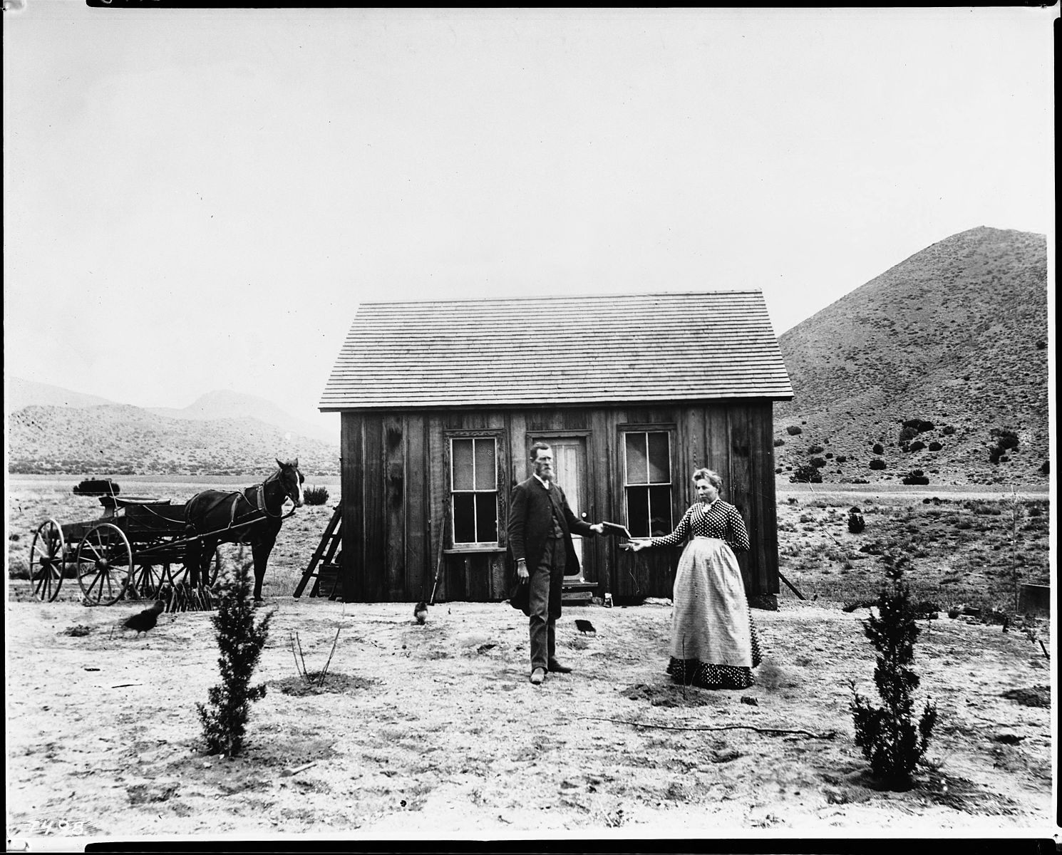 A California homesteader receives the deed to her land.