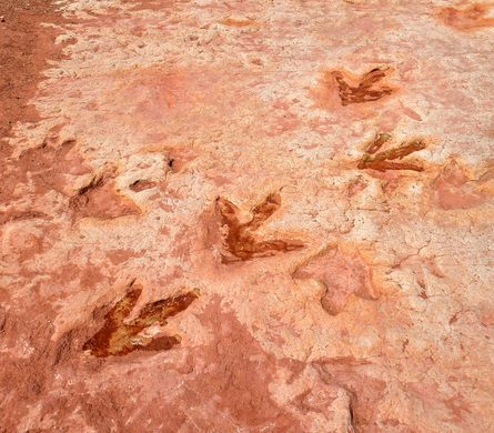 Moenave Dinosaur Tracks – Tuba City, Arizona - Atlas Obscura