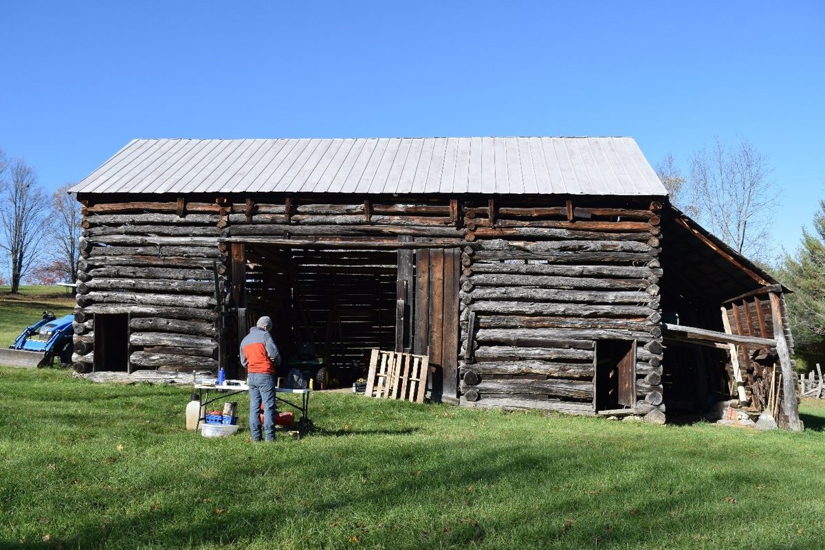 Old log buildings are all that remains of some old-growth forests.